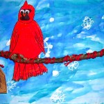 Cardinal, Grade 2