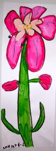 Amaryllis, Grade 1