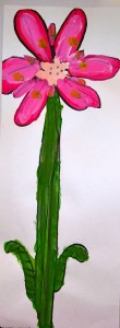 Amaryllis, Grade 1