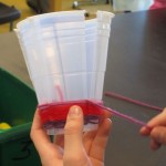 Cup weaving-fourth grade
