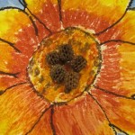 Second grade sunflowers